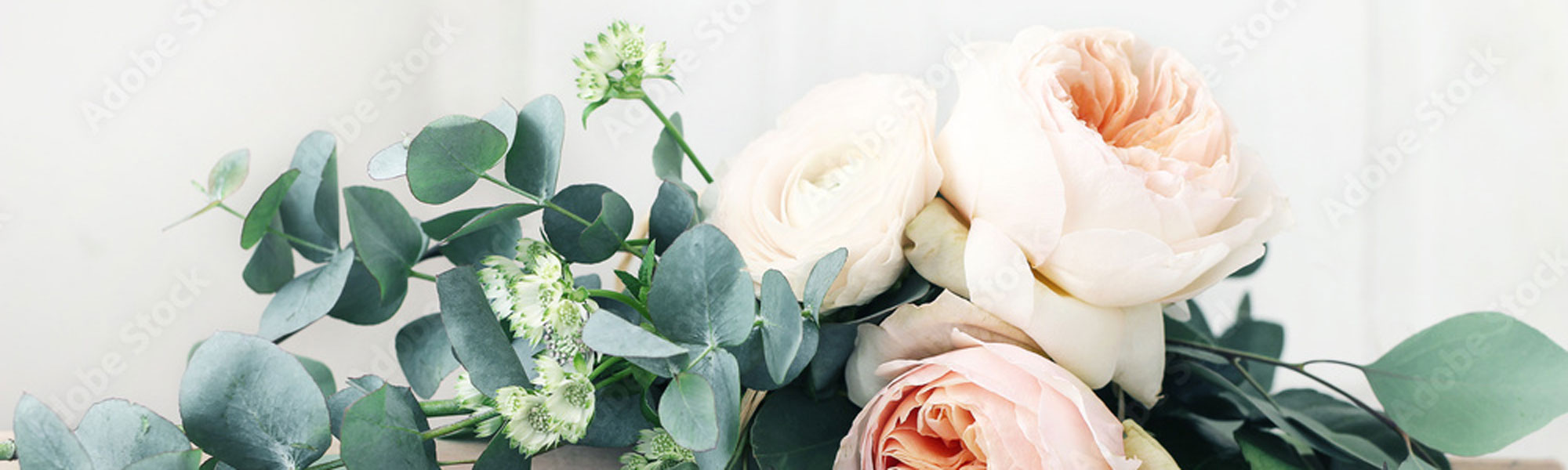 Aboutbanneradobestock 365093474 Preview